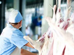 Монгол Улс жил бүр 100 мянган тонн мах экспортлох боломжтой 