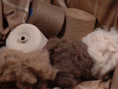 Зах зээлд нийлүүлж байгаа нийт ноолуурын 17 хувиар эцсийн бүтээгдэхүүн үйлдвэрлэж байна