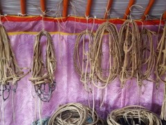 Малын гаралтай түүхий эдийг ашиглан ажилтай, орлоготой байх боломжтой