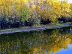 Сарын хуучийн тэнгэр 