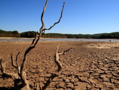Цаг уурын өөрчлөлтийн улмаас ган гачиг болох магадлал 20 дахин нэмэгджээ 