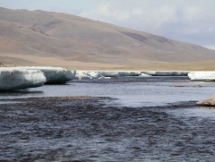 Гадаргын усны чанар, хамгаалалтад анхаарах шаардлагатай байна