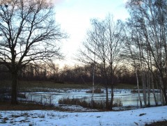 Шинэ сарын шинж 