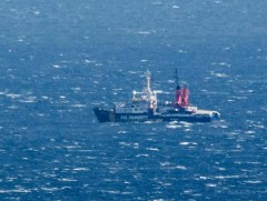 Дүрвэгчид тээсэн 