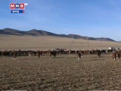 Хөвсгөл аймагт 