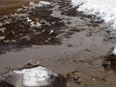 Өнгөрсөн шөнө Ховд аймгийн зарим сумын нутгаар нэмэх градустай хоножээ 