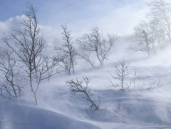Хүйтний эрч хэсэг хугацаанд хадгалагдана