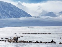 Малчид: Зудтай өвөл хотоо харлуулахгүйг хичээж байна