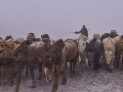 Иргэдэд учирч болох 865 сая төгрөгийн хохирлоос урьдчилан сэргийллээ