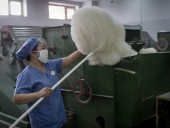 Италийн хөрөнгө оруулагчид манай улсаас хялгасыг нь ангилсан ноолуур худалдаж авахыг хүсэж байна