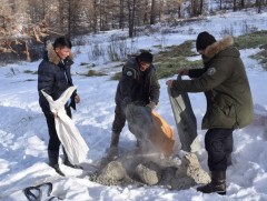 Ойн туруутан амьтдад зориулж 500 кг хужир, 25 боодол толгойтой солоом тавив