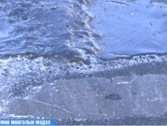 Сонгинохайрхан дүүргийн 19 дүгээр хороонд бохир халиад хоёр сар болсон ч цэвэрлээгүй байна