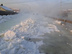 Халиа тошин үүсэх асуудлыг нэг мөр шийдэх боломж байна уу