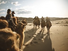 Энэ онд ирэх Япон, Солонгос, Хятад, Орос жуулчдын тоог нэмнэ