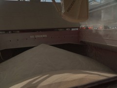 Долоогийн бүлгийн орнууд үр тарианы хэлцлийг сунган хүрээг нь өргөжүүлэхийг дэмжжээ