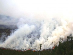 Он гарсаар есөн аймгийн 24 суманд 33 удаагийн ой, хээрийн түймэр бүртгэгдээд байна