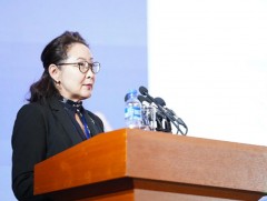 Монгол орны дулааны улирлын төлөв байдал, дүгнэлт, зөвлөмж