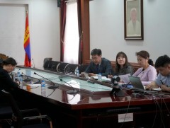 Дотрын анагаах ухаан судлалын мэргэжлийн салбар зөвлөлийн боловсруулсан аргачлалын танилцуулгын тө..