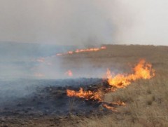 Он гарсаар ой, хээрийн гал түймрийн 31 тохиолдол бүртгэгджээ 
