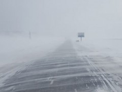 Онцын шаардлагагүй бол хол, ойрын замд гарахгүй байхыг зөвлөж байна 