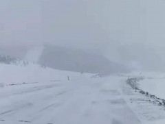 Ихэнх нутгаар цасан болон шороон шуурга шуурч байна