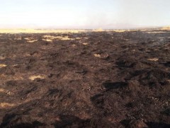 Сүүлийн гурван өдрийн хугацаанд 9 удаагийн ой, хээрийн түймрийн дуудлага бүртгэгдлээ