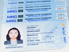 Оршин суух зөвшөөрлийн 2313 хүсэлтийг цахимаар хүлээн авч шийдвэрлэлээ