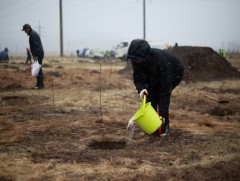 Хаврын мод тарих аян энэ сарын 11-19-ний хооронд үргэлжилнэ 