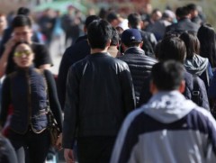 Улсын хэмжээнд 85 мянга орчим иргэн ажил, хөдөлмөр эрхэлдэггүй судалгаа байна