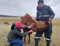 ЗООНОЗ-ын гаралтай анзаарагддаггүй зарим өвчний хамтарсан тандалт хийж байна