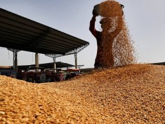 Тариалан эрхлэгч өрхийн 44.5 хувь нь төвийн бүсэд байна 
