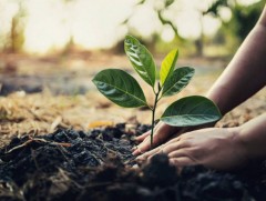 Арав орчим жил архи хэтрүүлэн хэрэглэсэн залуус сархадаас татгалзаж, нийгэмд сайн үйлс бүтээж байна