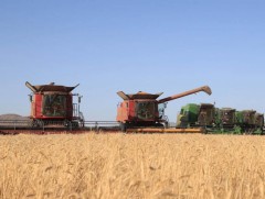 Монгол Улсад 17 мянга гаруй иргэн, 400 орчим аж ахуйн нэгж тариалан эрхэлдэг