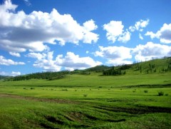 Нийт нутгийн 50 орчим хувьд зуншлага хэвийн байна