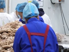 Эмээлтэд байрлах 7 аж ахуйн нэгжид зөрчлийн хэрэг үүсгэж, прокурорт шилжүүлжээ 