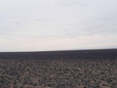 Ой, хээрийн түймрийн галын аюулаас урьдчилан сэргийлэхийг анхааруулж байна