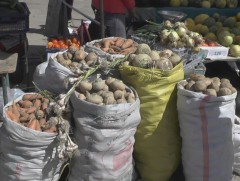 Хүрэн болон шар манжингийн нийлүүлэлт тасарчээ