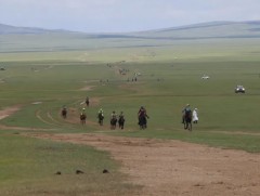 Увс аймгийн алдарт уяач Б.Норовсамбуугийн гоё хээр азарга түрүүлж, түмний эх боллоо