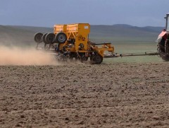 Долоодугаар сарын 20-ноос хойш малын тэжээл тариалахад хожимдохгүй