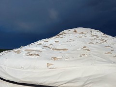 Баянгол суманд орсон мөндрийн улмаас 200 гаруй мал хорогдоод байна 