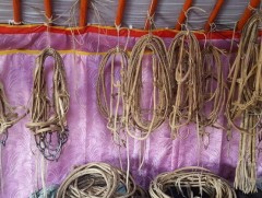 Жилд 30 үхрийн ширээр суран эдлэл хийж зах зээлд борлуулдаг