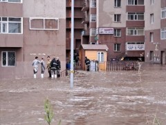 Сэлбэ голын эрэг дагуу 27 орон сууцнууд давхар усанд автаад байна