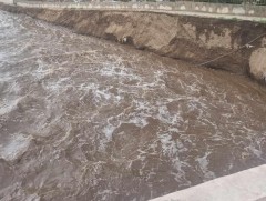 Үерийн дараах цэвэрлэгээг хийж байгаа иргэдэд тууралт гарч эхэлжээ