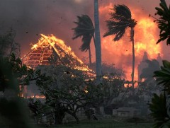 Мауи арлын түймэр газар авахад өндөр хүчдэлийн шугамууд нөлөөлсөн гэж үзжээ 