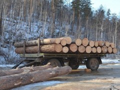 Хүрээлэн буй орчны эсрэг гэмт хэрэг хоёр дахин нэмэгджээ