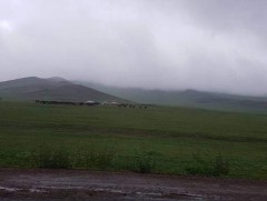 Их хэмжээний бороо орсны улмаас ургац хураалт 5-10 хоногоор хойшиллоо