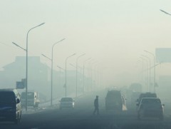 Утаатай 14 жил тэмцсэн ч ахиц гараагүй байна