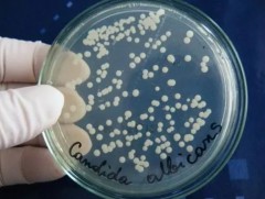 Сумын сургууль мөөгөнцөртэй барилгад хичээллэж байна