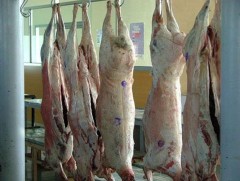 Малчид: Ченжүүд биднээс хямд мах авчихаад хэт өндөр үнээр иргэдэд зарж байна