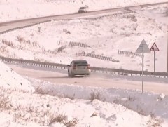 Зам, тээврийн ослын 80 гаруй хувь нь орон нутгийн замд гарч байна